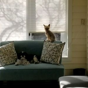 Meet your Posher, Tera